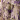 Ivory/Purple/Green Print